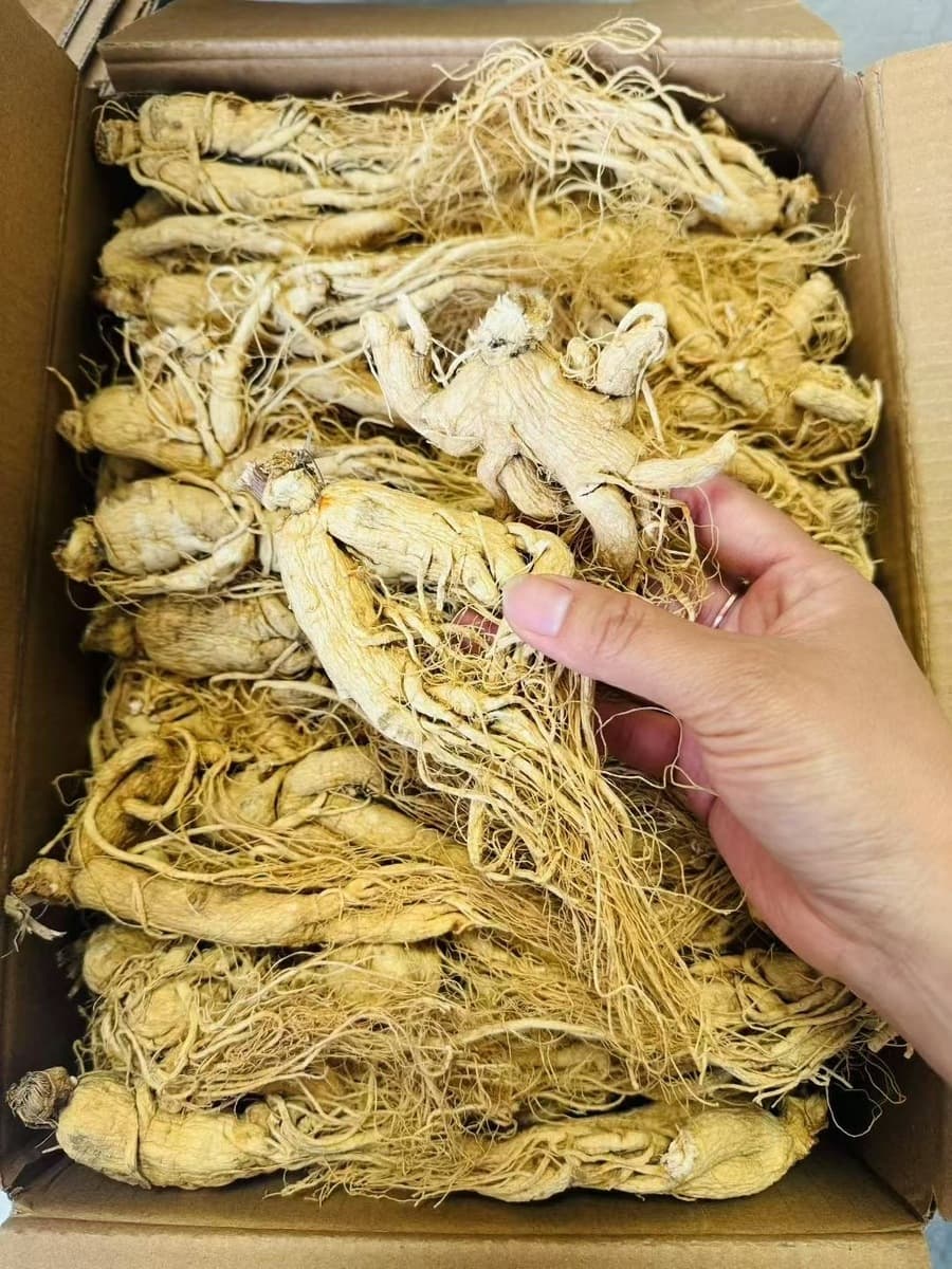 Горный Женьшень Чанбай Завод Северо-Восточной Специальности Сырой Кожи Сырой Женьшень Солнца Низкая Цена Сухой Женьшень...