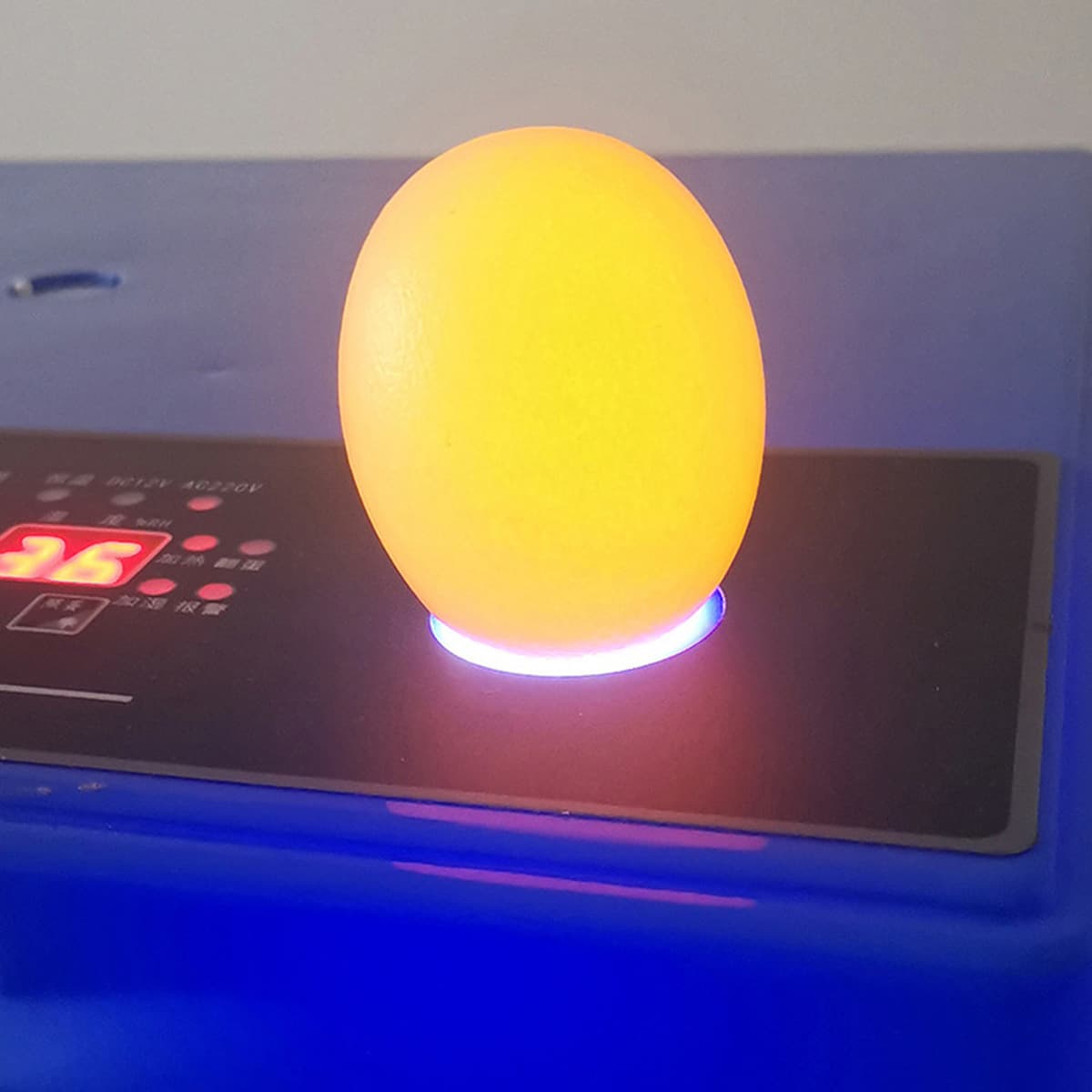 Инкубатор для яиц для внешней торговли, малый бытовой инкубатор на 4-176 яиц, интеллектуальный полностью автоматический...