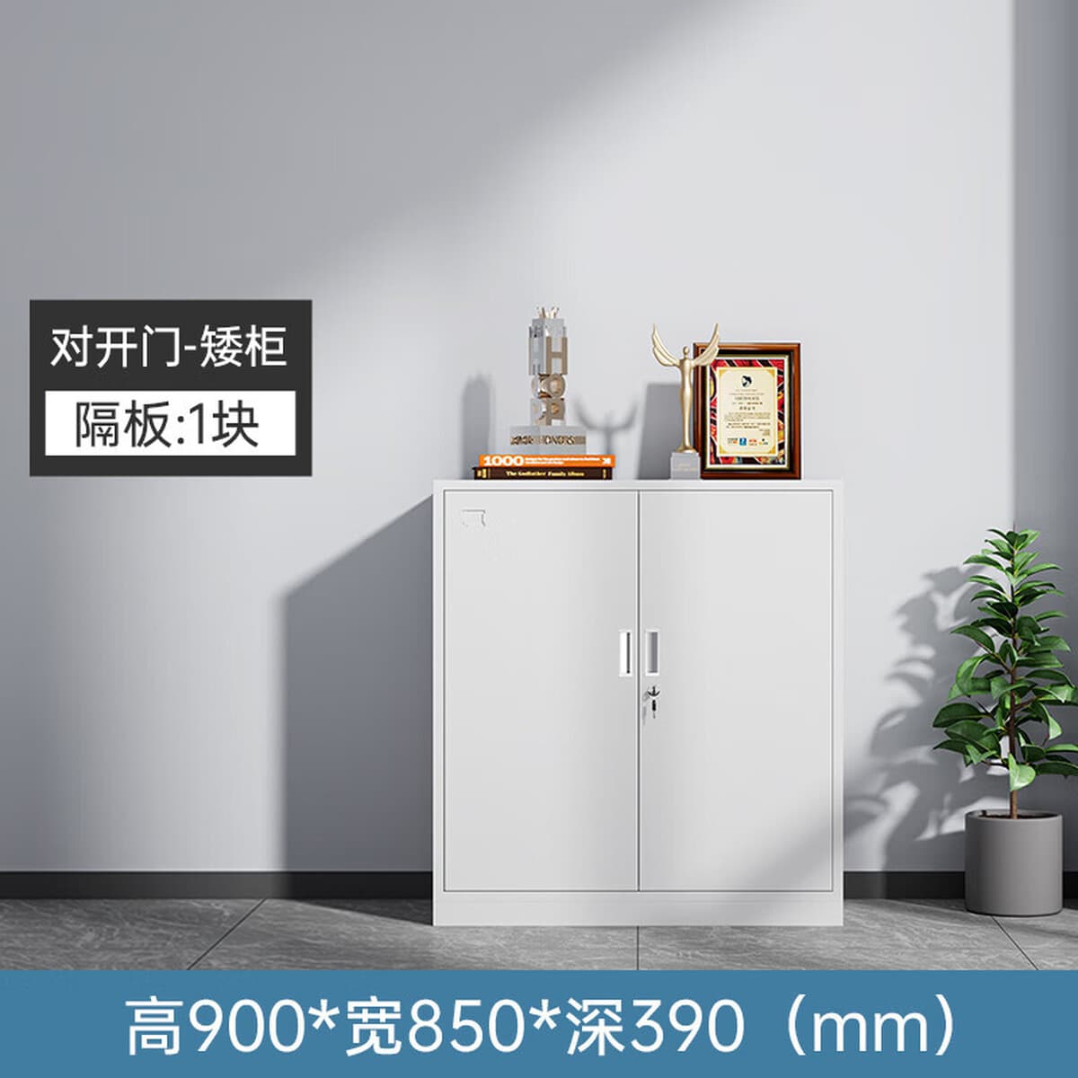 Металлические шкафы для документов, офисные шкафы для документов, шкафы для финансовых документов, металлические шкафы,...