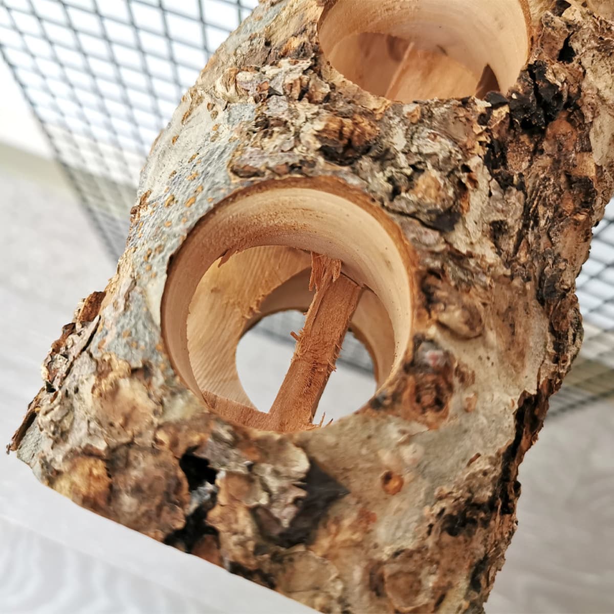 Попугай Яблоко Древесина Укус Палочка Домашнее Животное Молярная Игрушка Птицы Морская Свинья Клетка Принадлежности Кролик...