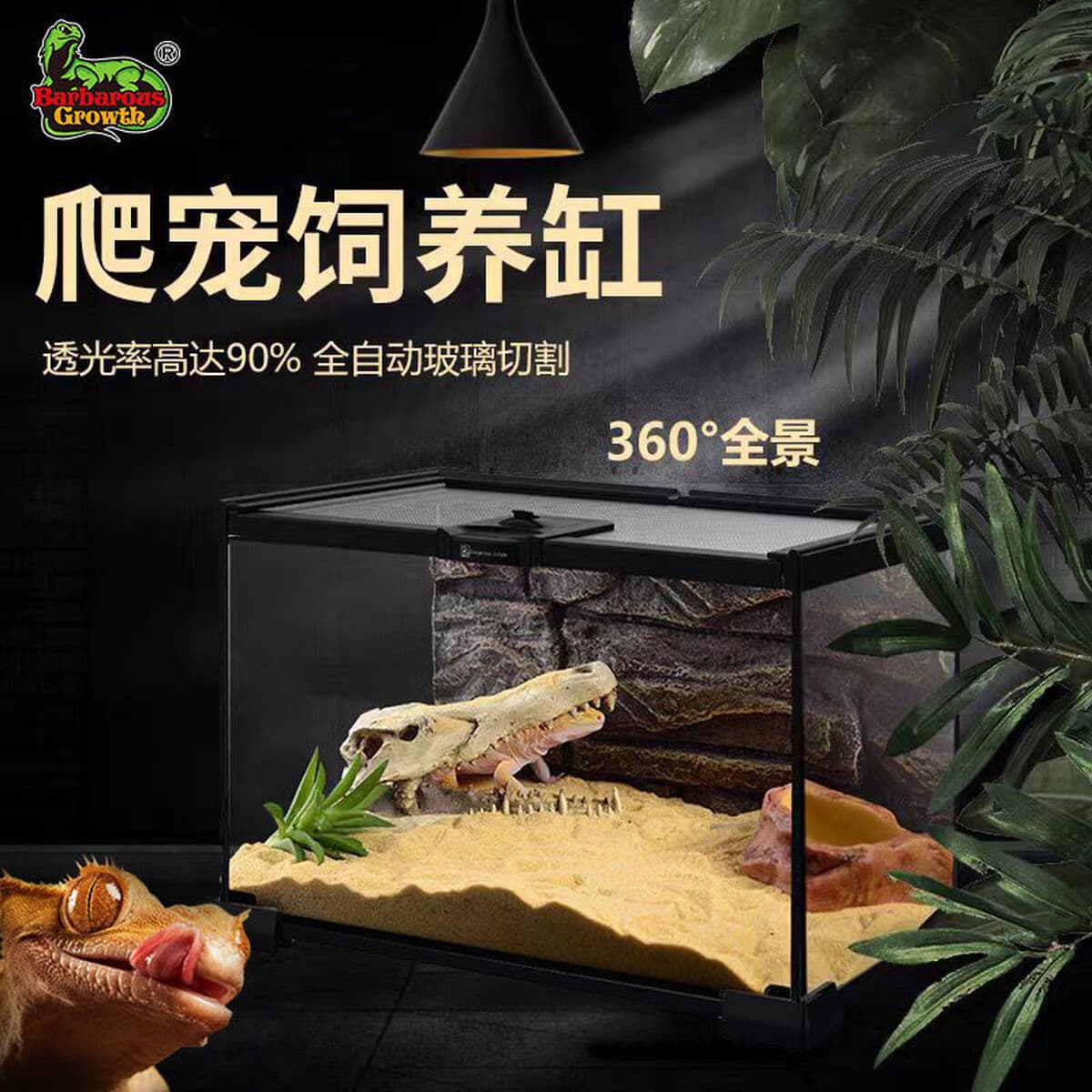 Jar Rainforest стеклянная коробка для кормления домашних животных ящик для лазания ящерица экологическая банка угловая...