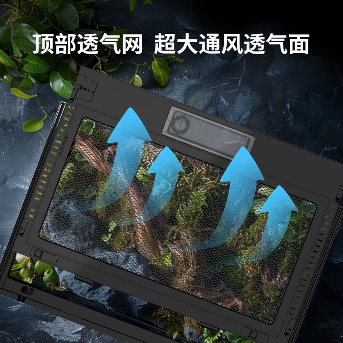 Аквариум для рептилий Sensen, полностью прозрачный экологический стеклянный резервуар, ящик для разведения, геккон, ящерица,...