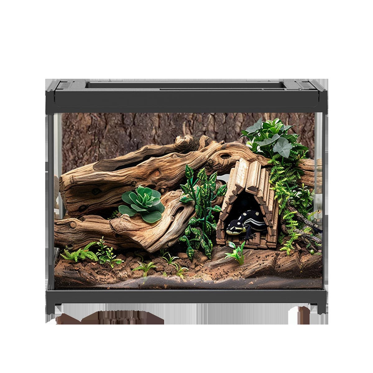 Аквариум для рептилий Sensen, полностью прозрачный экологический стеклянный резервуар, ящик для разведения, геккон, ящерица,...