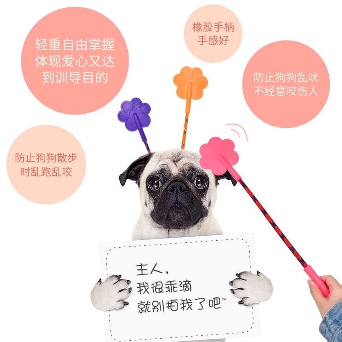 Домашние животные собаки любят стрелять, не причиняя вреда собаке