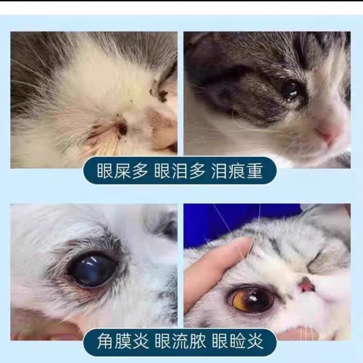 Мазь для глаз Pfizer, мазь для глаз для кошек и собак Pfizer, террамицин для очистки глаз, уменьшает слезные пятна,...