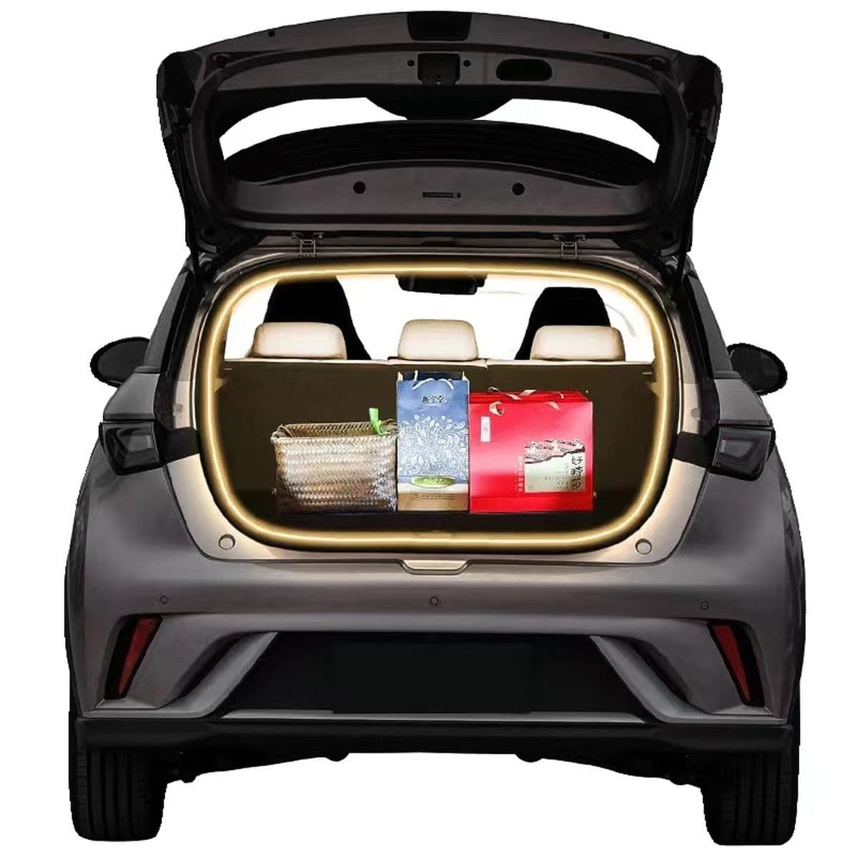 BYD Dolphin Обогненный фонарь с задней коробкой световой полосы