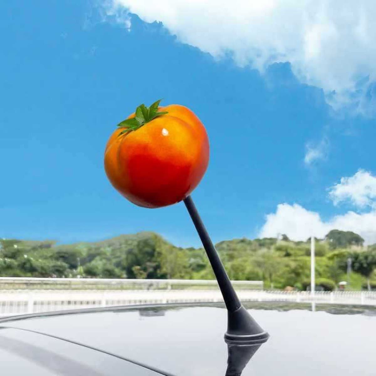 Декоративная внешняя антенна для автомобиля: милый мультяшный фигурка-кактус в стиле фуди для модификации крыши автомобиля