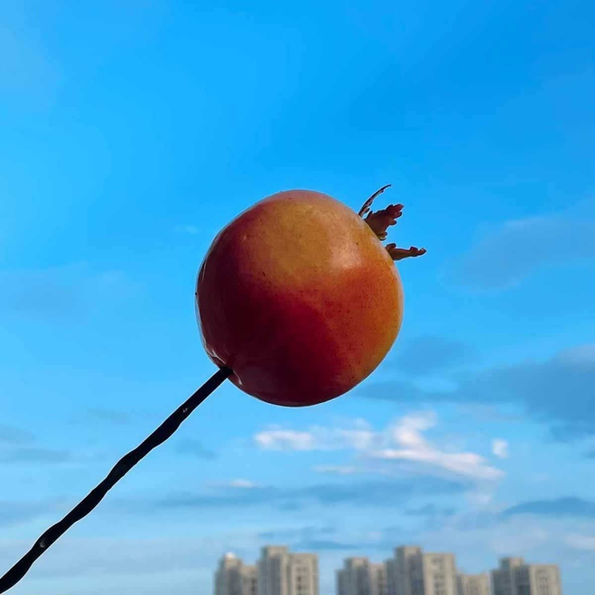 Декоративная внешняя антенна для автомобиля: милый мультяшный фигурка-кактус в стиле фуди для модификации крыши автомобиля