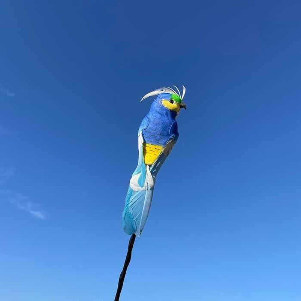 Декоративная внешняя антенна для автомобиля: милый мультяшный фигурка-кактус в стиле фуди для модификации крыши автомобиля