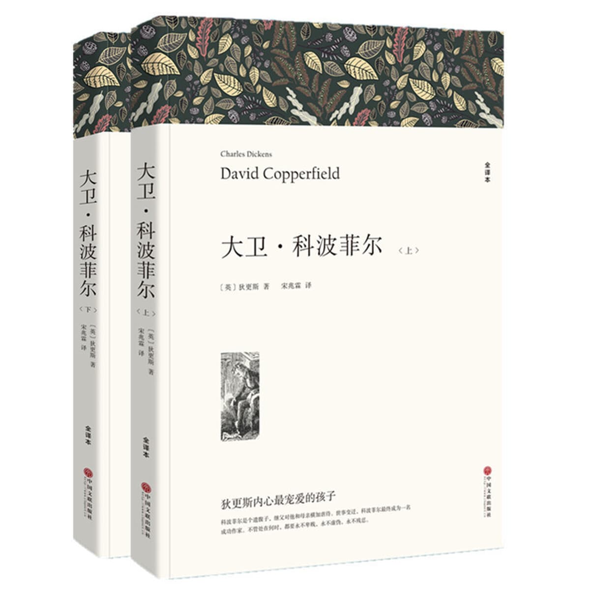 Литературные романы, отборные книги, книги для внеклассного чтения для учащихся средних и старших классов, дропшиппинг