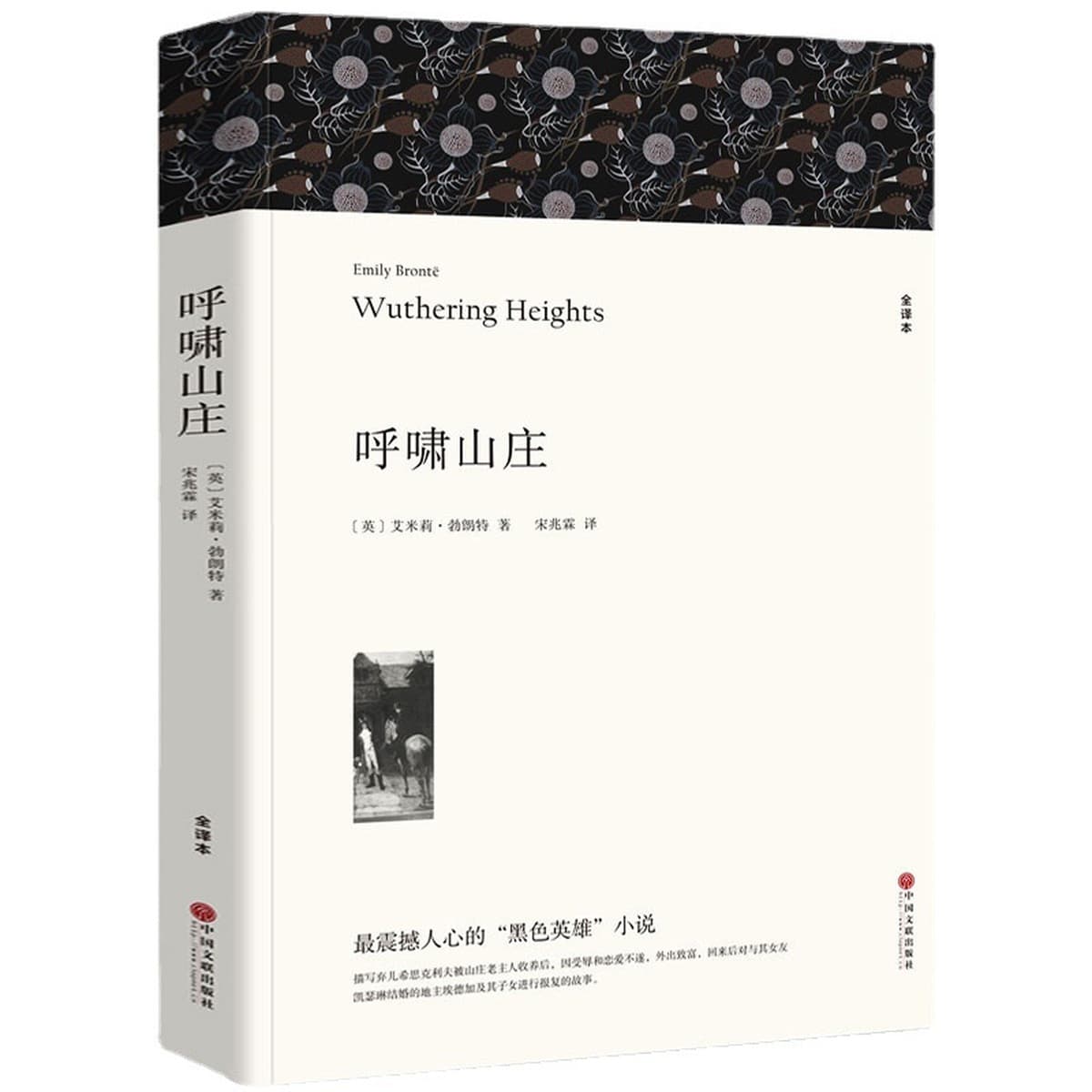 Литературные романы, отборные книги, книги для внеклассного чтения для учащихся средних и старших классов, дропшиппинг