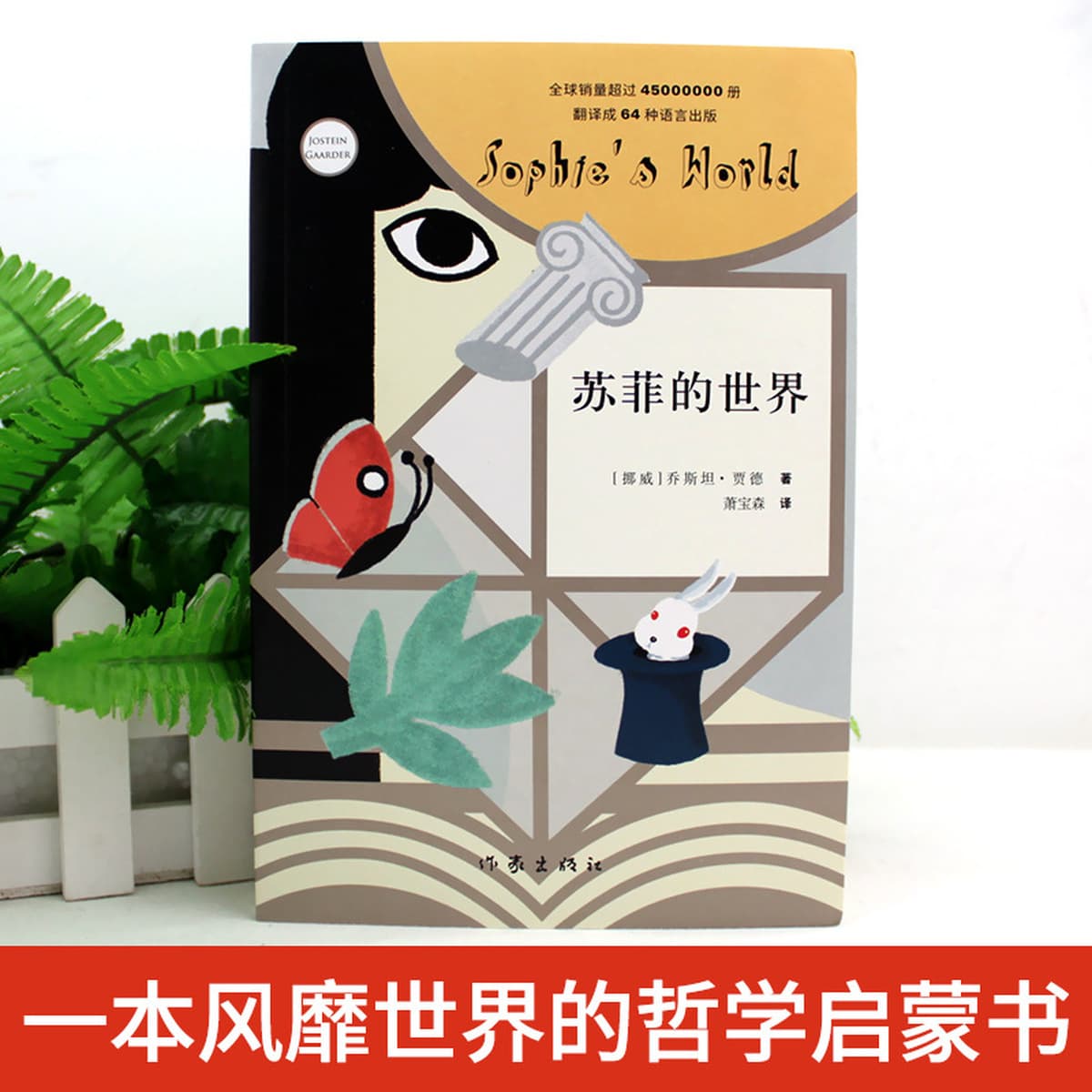 Софи в мире младших классов восьмого класса внеклассное чтение иностранных романов обычный мир Фу Лэй Семья письмо сталь