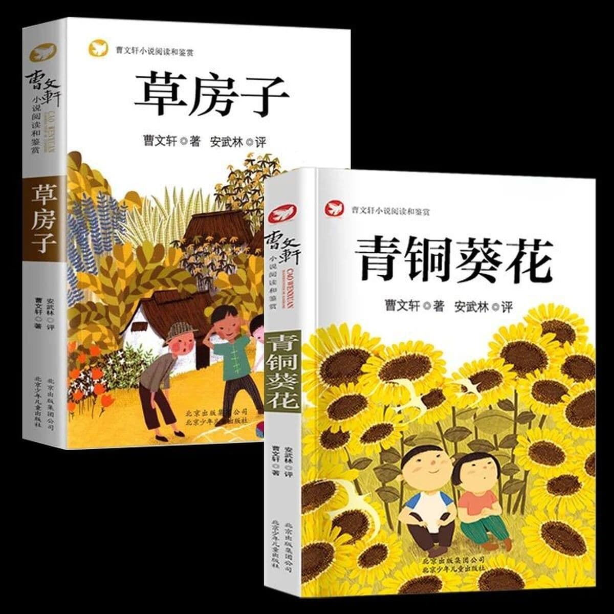 Аутентичный бронзовый домик подсолнуха, оригинальная полная версия секрета волшебной тыквы, четвертый класс, внеклассная...