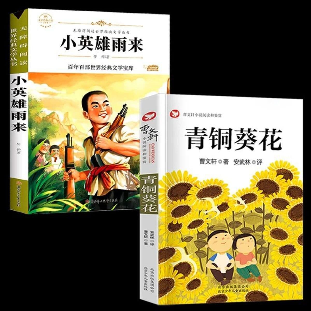 Аутентичный бронзовый домик подсолнуха, оригинальная полная версия секрета волшебной тыквы, четвертый класс, внеклассная...