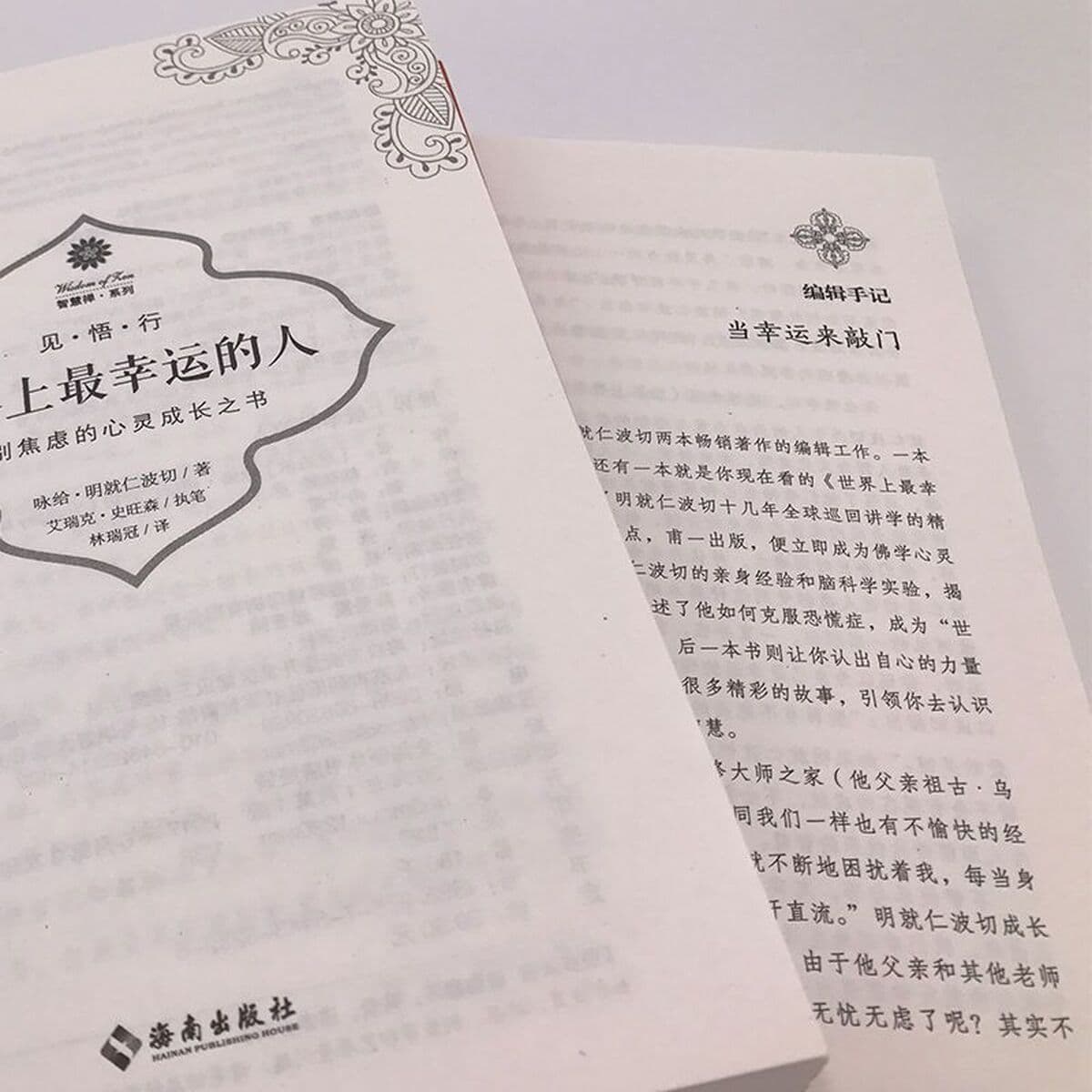 Самый счастливый человек в мире, который говорит о методе медитации Ринпоче. Введение в буддизм для начинающих