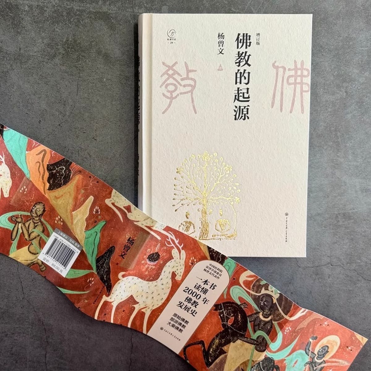 Происхождение буддизма Книга Ян Цзэнвэнь читает историю развития буддизма в 2000 году