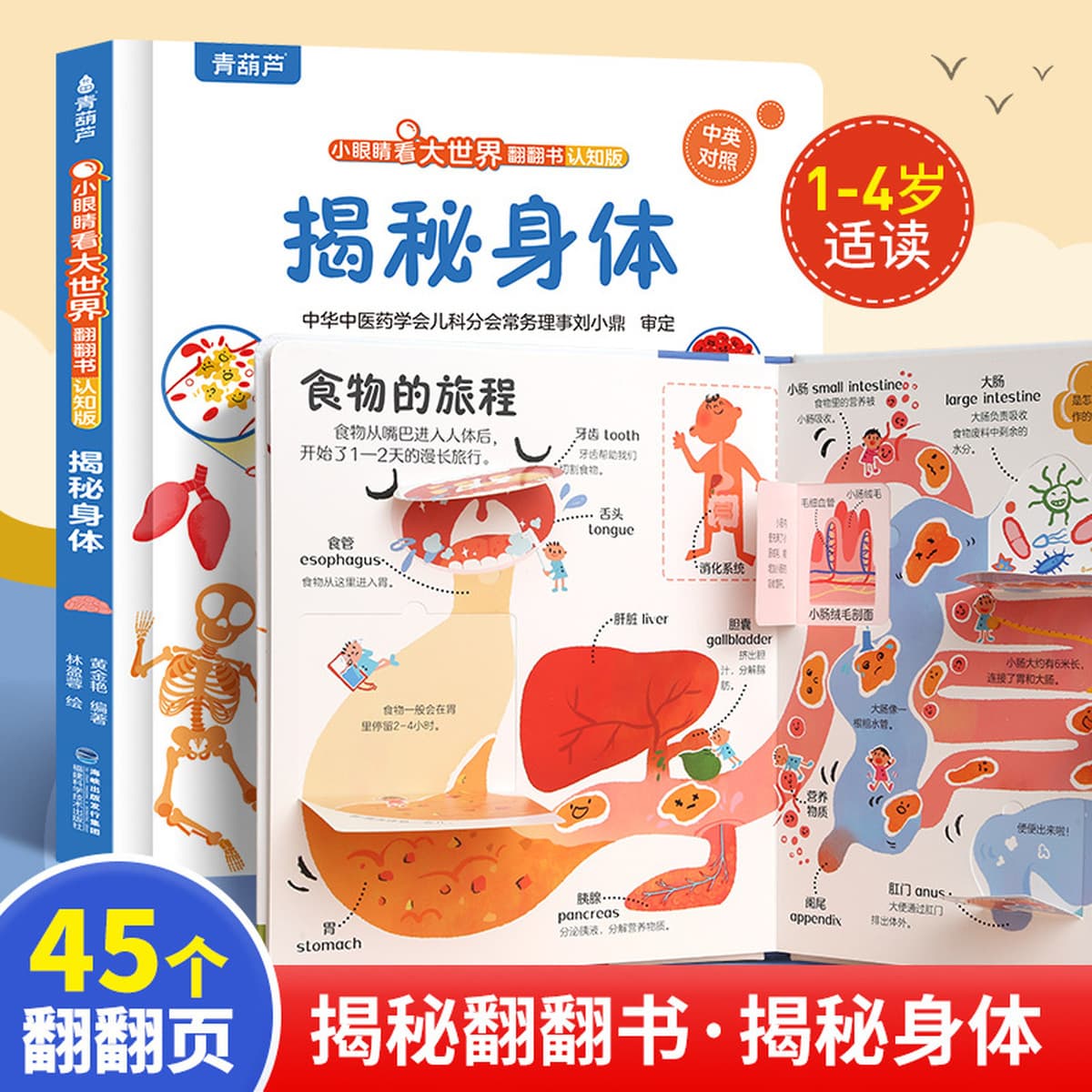 Я могу распознавать цвета, детская книжка с картинками для детей от 0 до 3 лет, книга для раннего развития, познавательная...