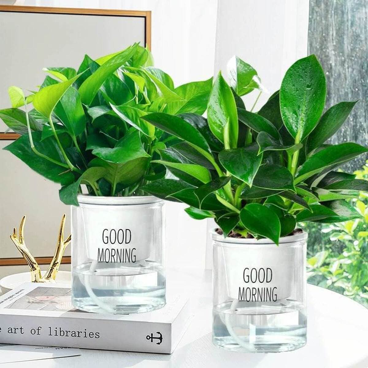 Золотистое растение в горшке, имитирующее платиновый бриллиант, с крупными зелеными листьями, гидропонное, суккулент, легко...