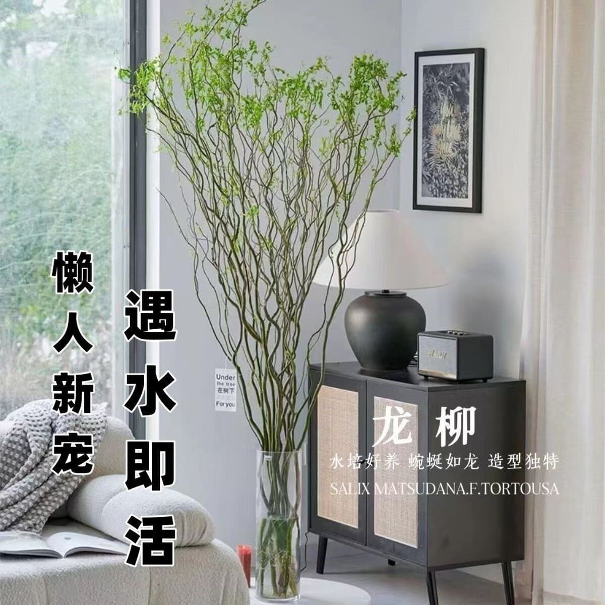 Оптовые гидропонные растения, свежие ветки драконьей ивы, срезанные цветы, зеленые растения, выращенные в воде, снежная ива,...