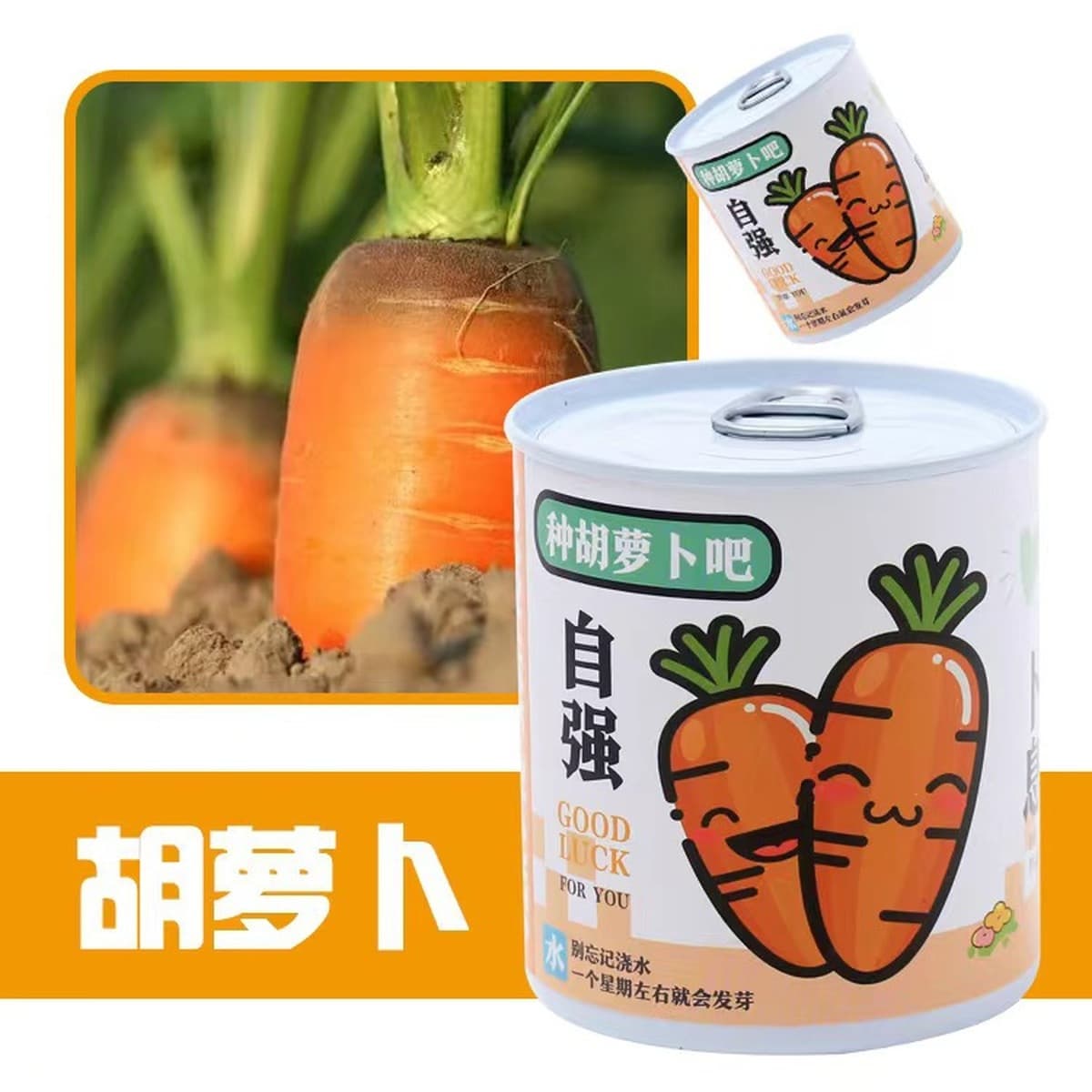 Наборы для выращивания растений в банках, цветы и растения в горшках, подарки для садоводства, выращивание фруктов для...